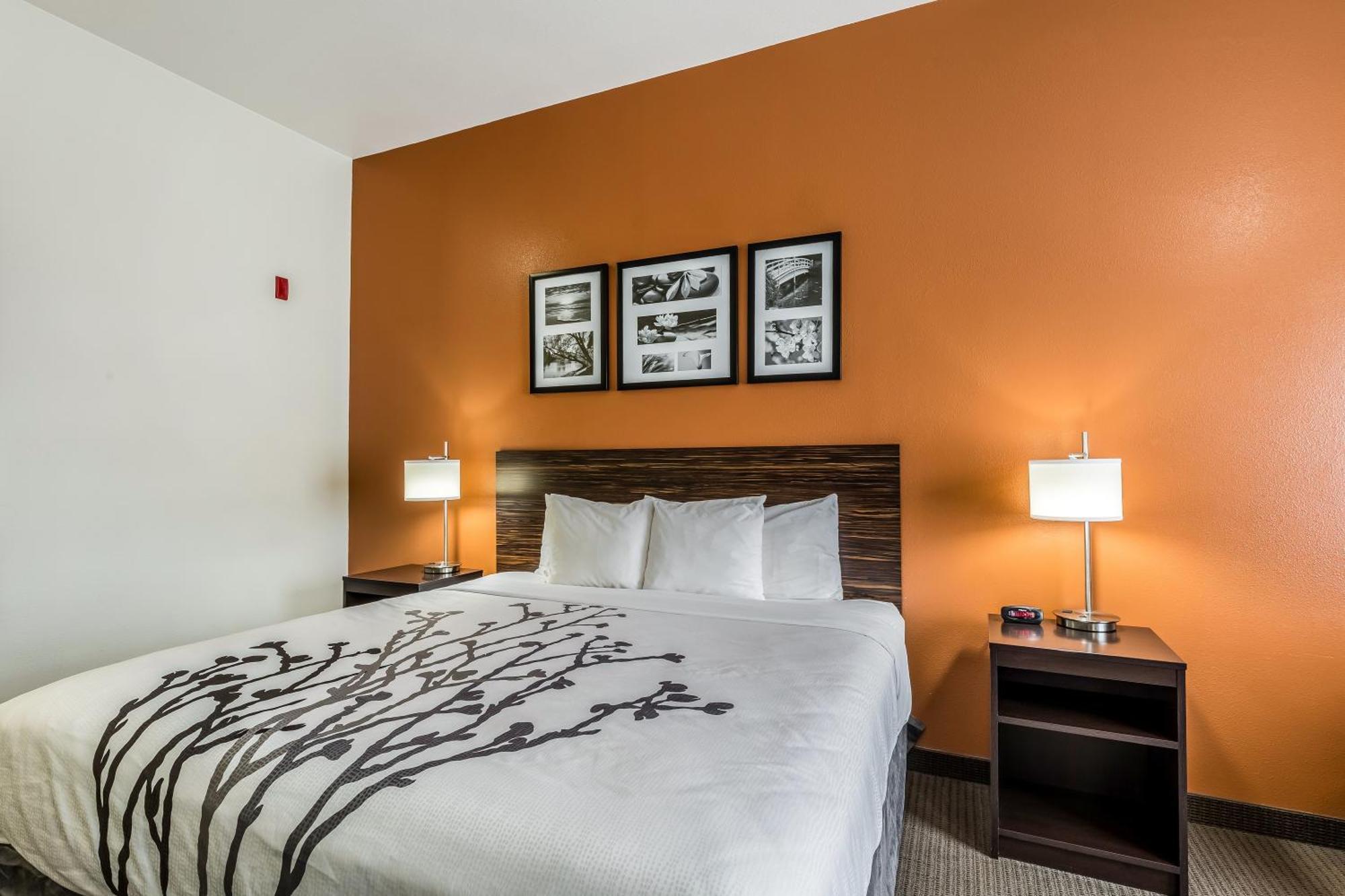 Sleep Inn & Suites Stafford - Sugarland Extérieur photo
