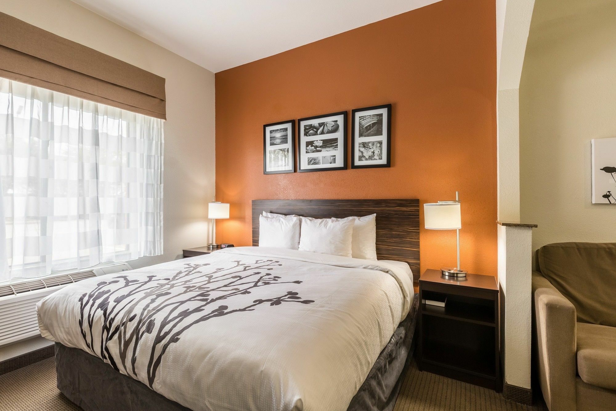 Sleep Inn & Suites Stafford - Sugarland Extérieur photo